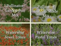 pre-planned plant collections make gardening easy