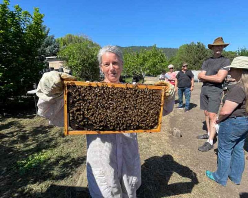 pollinator garden class at shooting star nursery with beekeeper expert