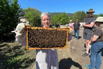 pollinator garden class at shooting star nursery with beekeeper expert