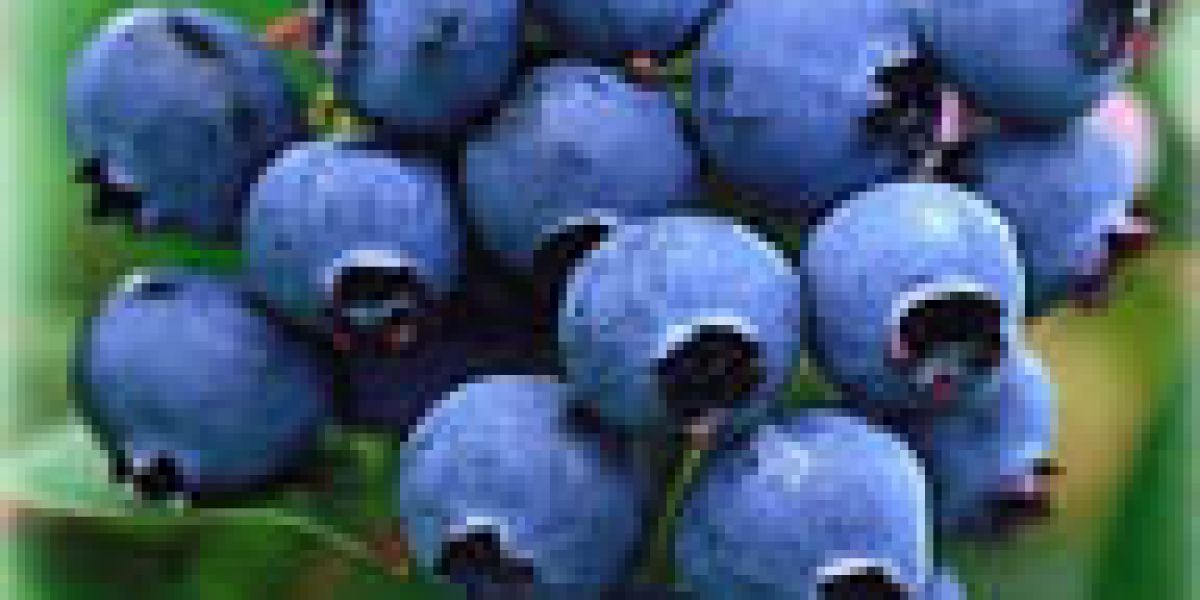 blueberries