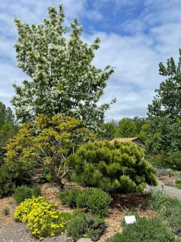 Shooting Star Nursery team members on a hike - Bonni, Scott and Eric