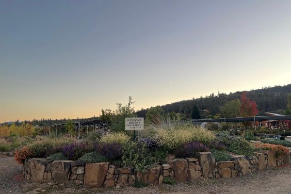 Shooting Star Nursery entrance at sunset with display rock garden featuring drought tolerant and cold hardy plants