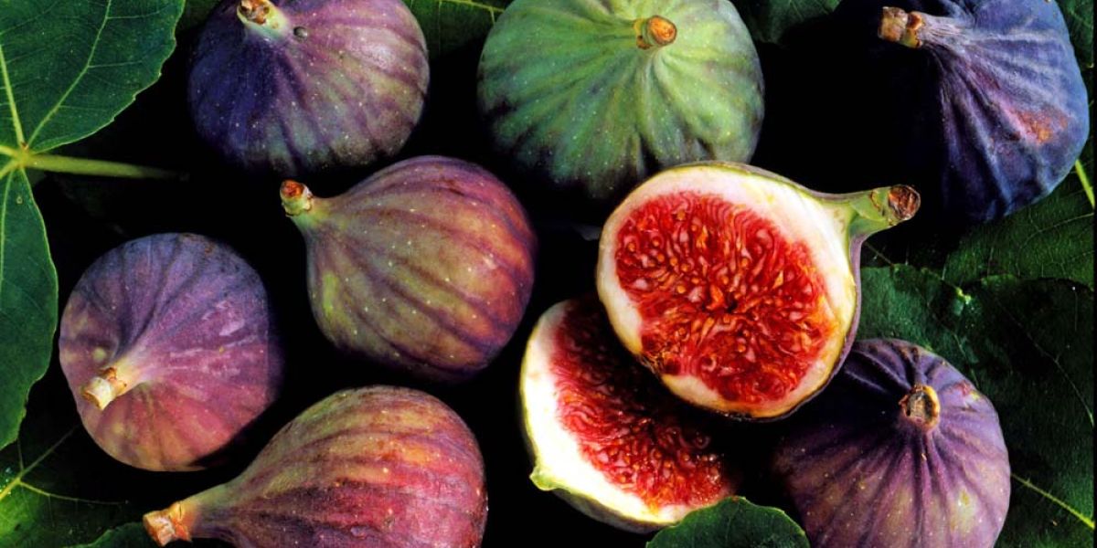 figs