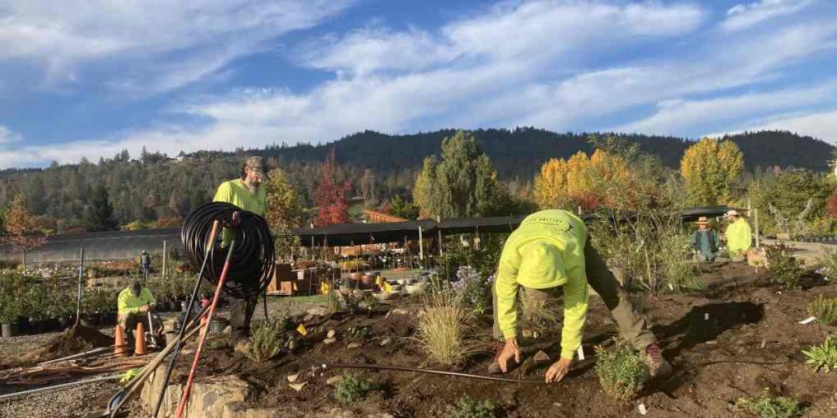 drip irrigation installation