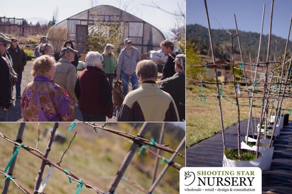 PruningClass collage1