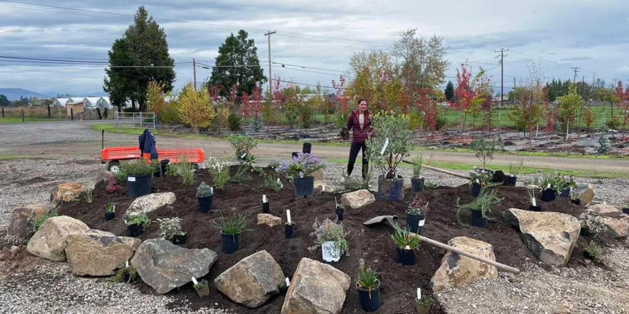 Shooting Star Nursery waterwise demonstration garden with drought tolerant landscaping plant collection